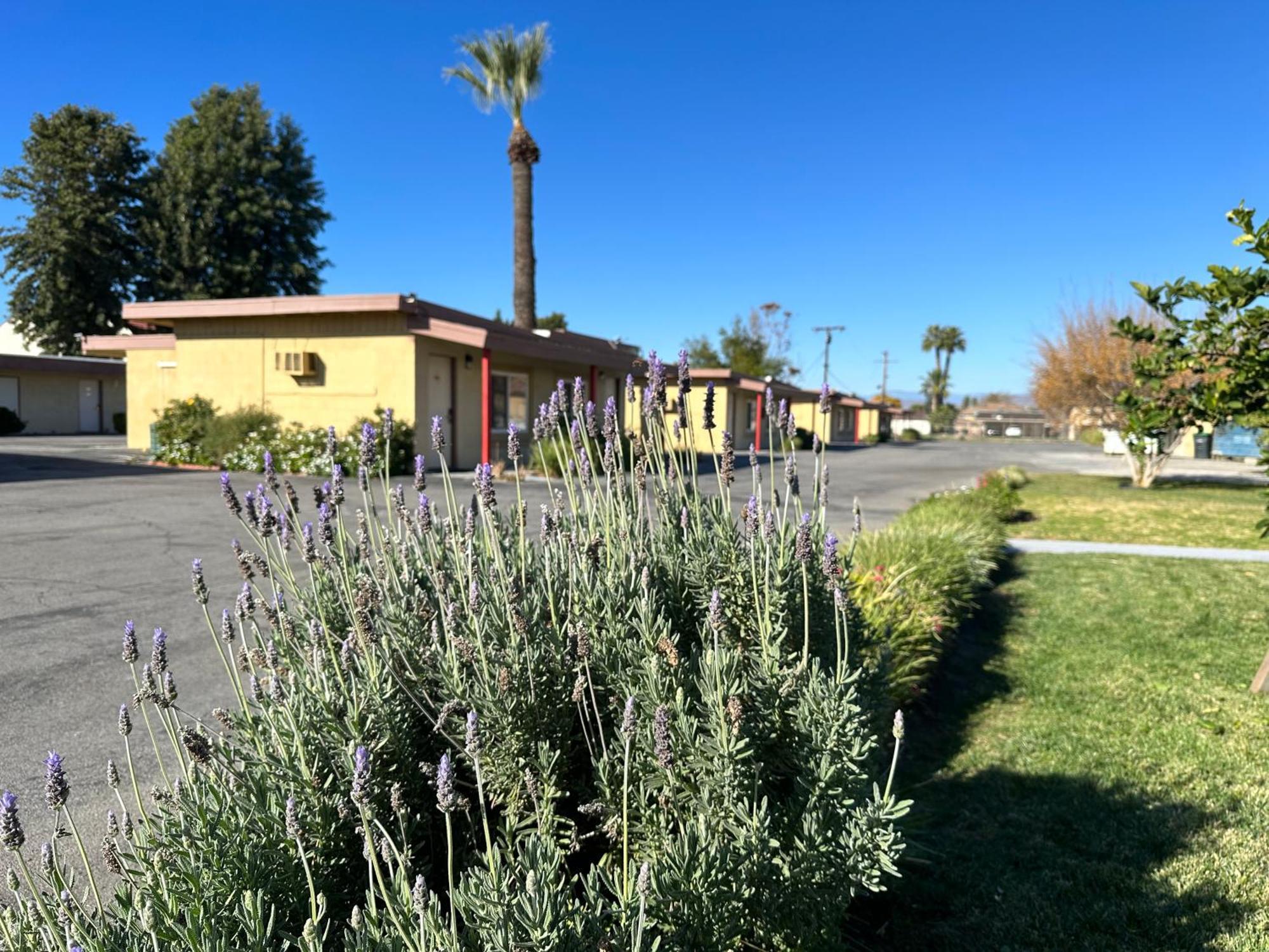 Royal Inn And Suites Hemet Buitenkant foto
