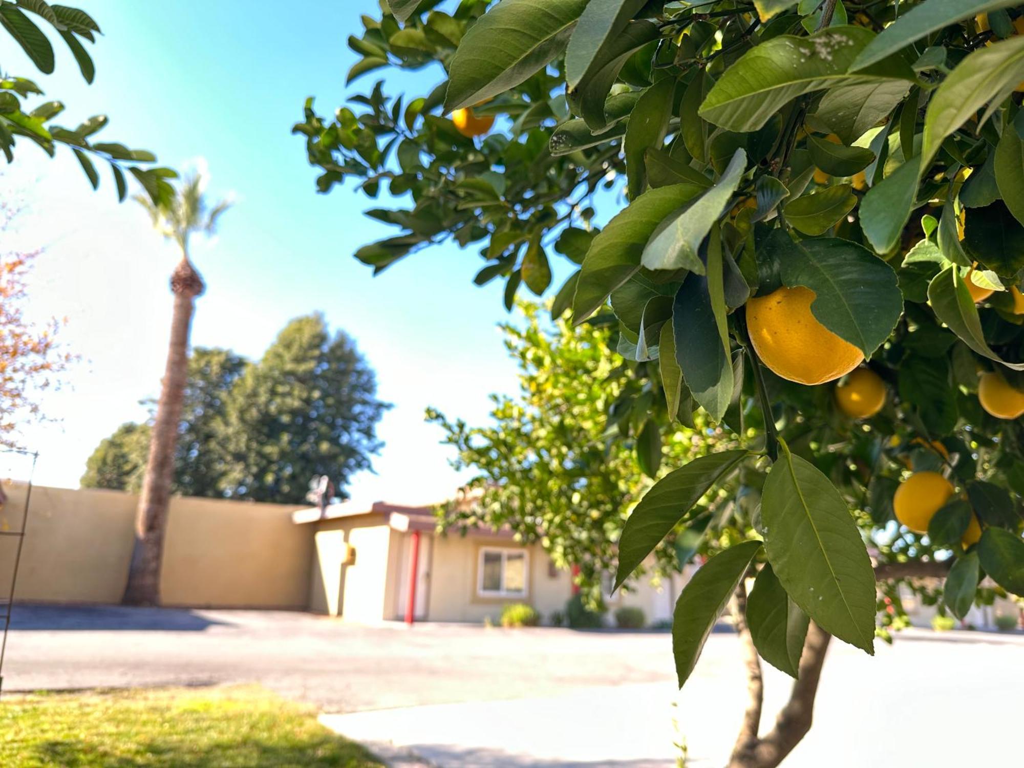 Royal Inn And Suites Hemet Buitenkant foto
