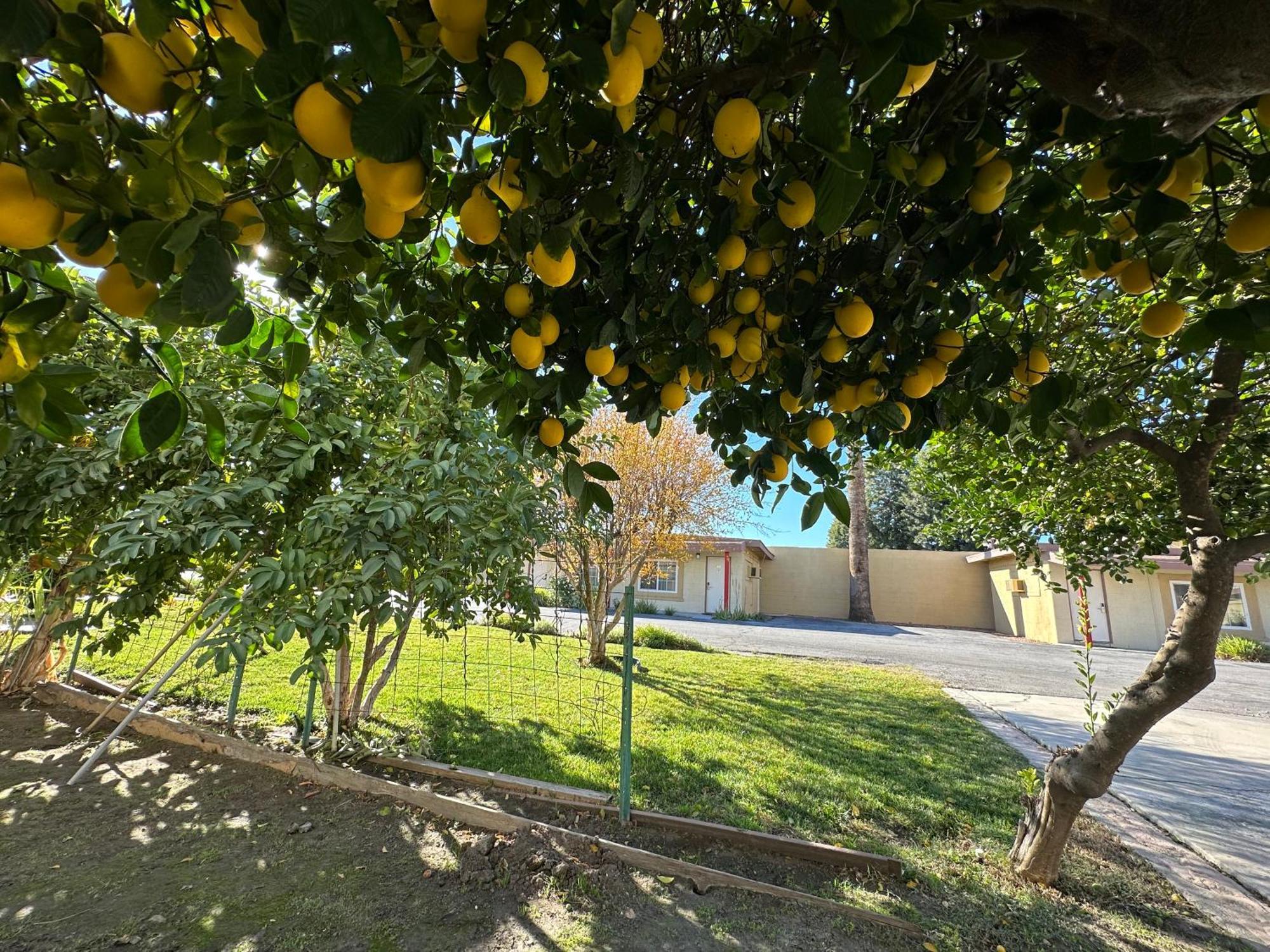Royal Inn And Suites Hemet Buitenkant foto